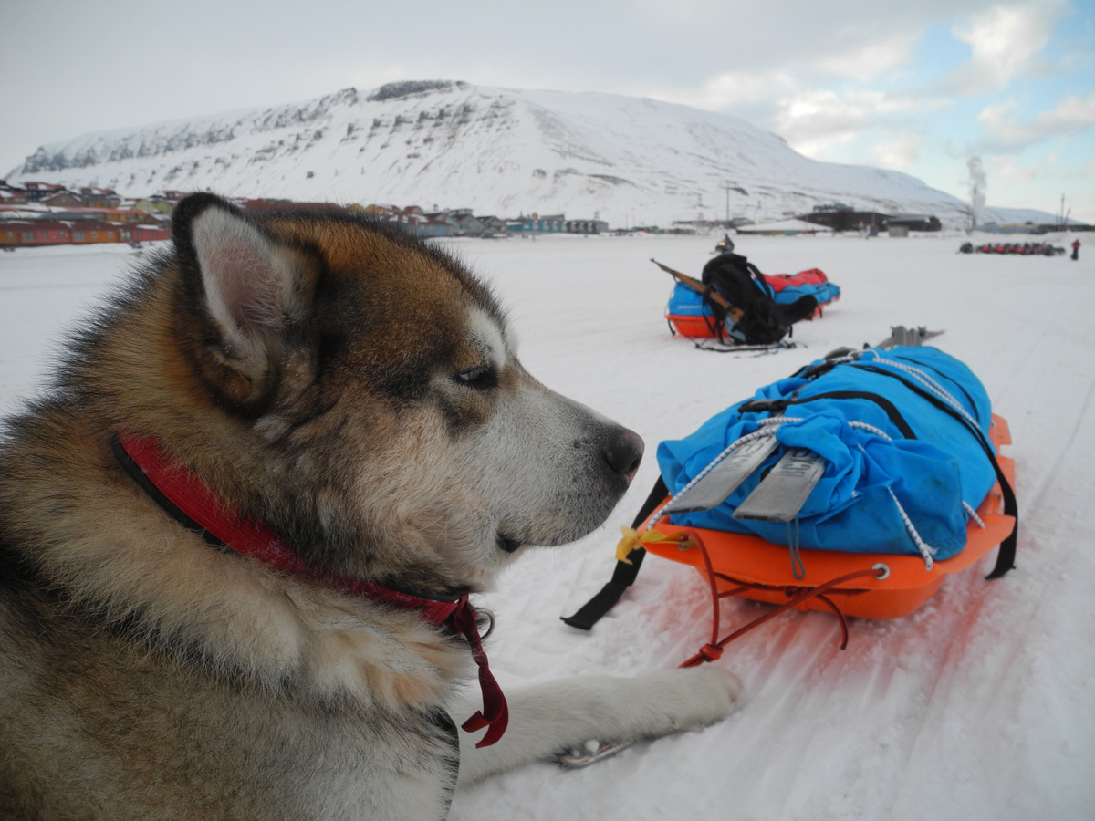 Monte Newton Svalbard