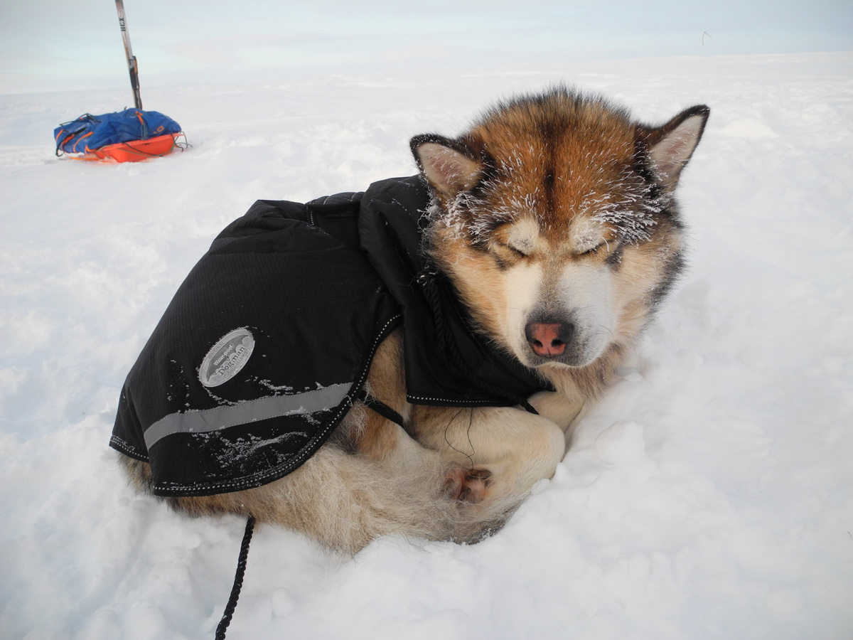 Monte Newton Svalbard