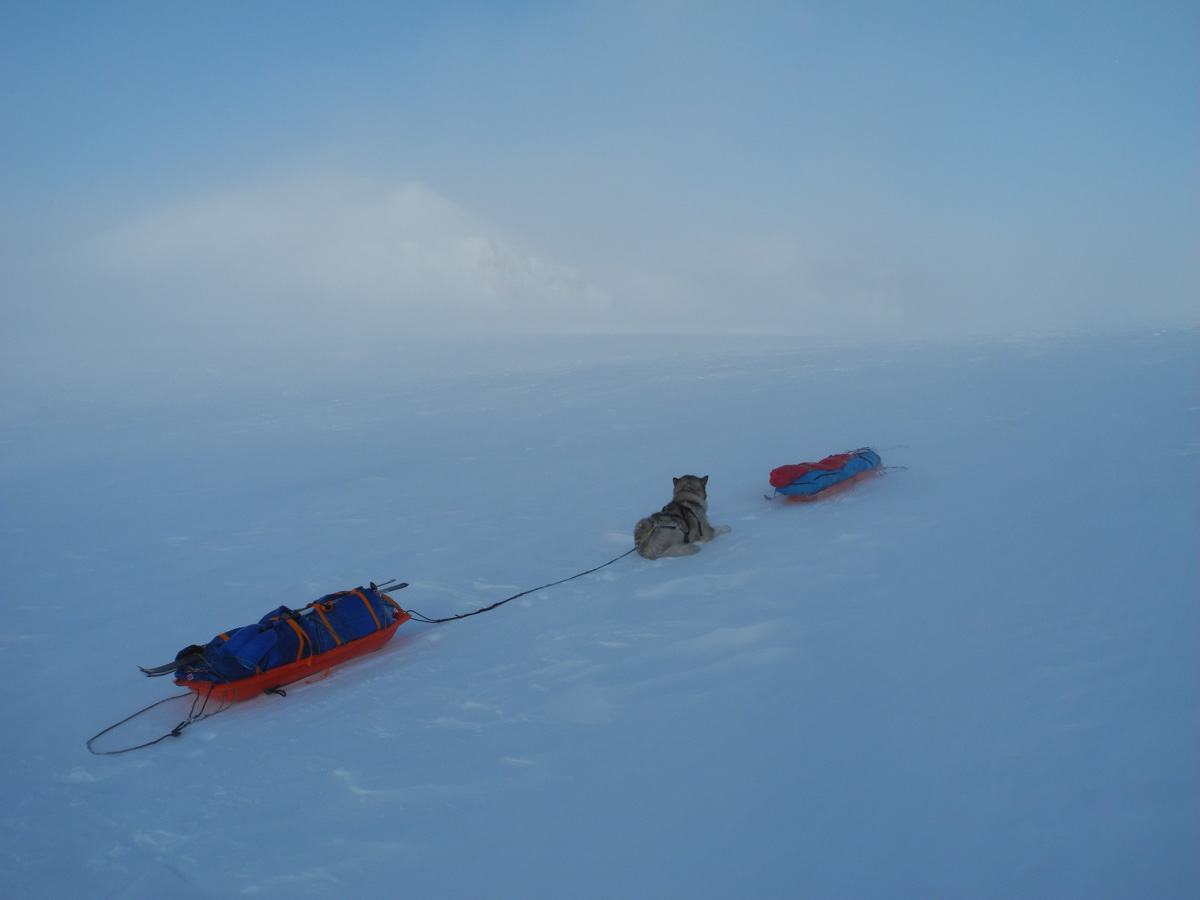 Monte Newton Svalbard