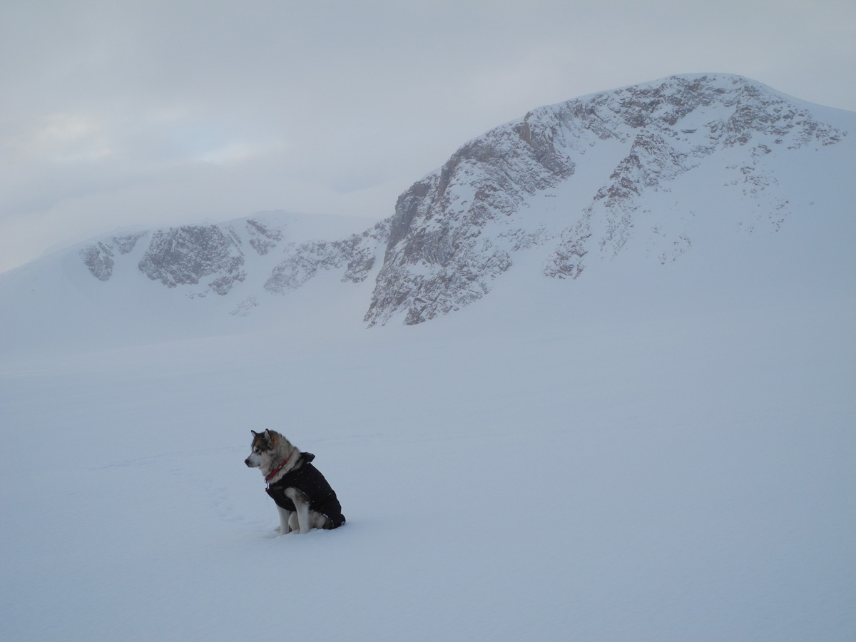 Monte Newton Svalbard