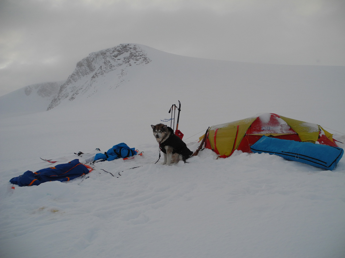 Monte Newton Svalbard