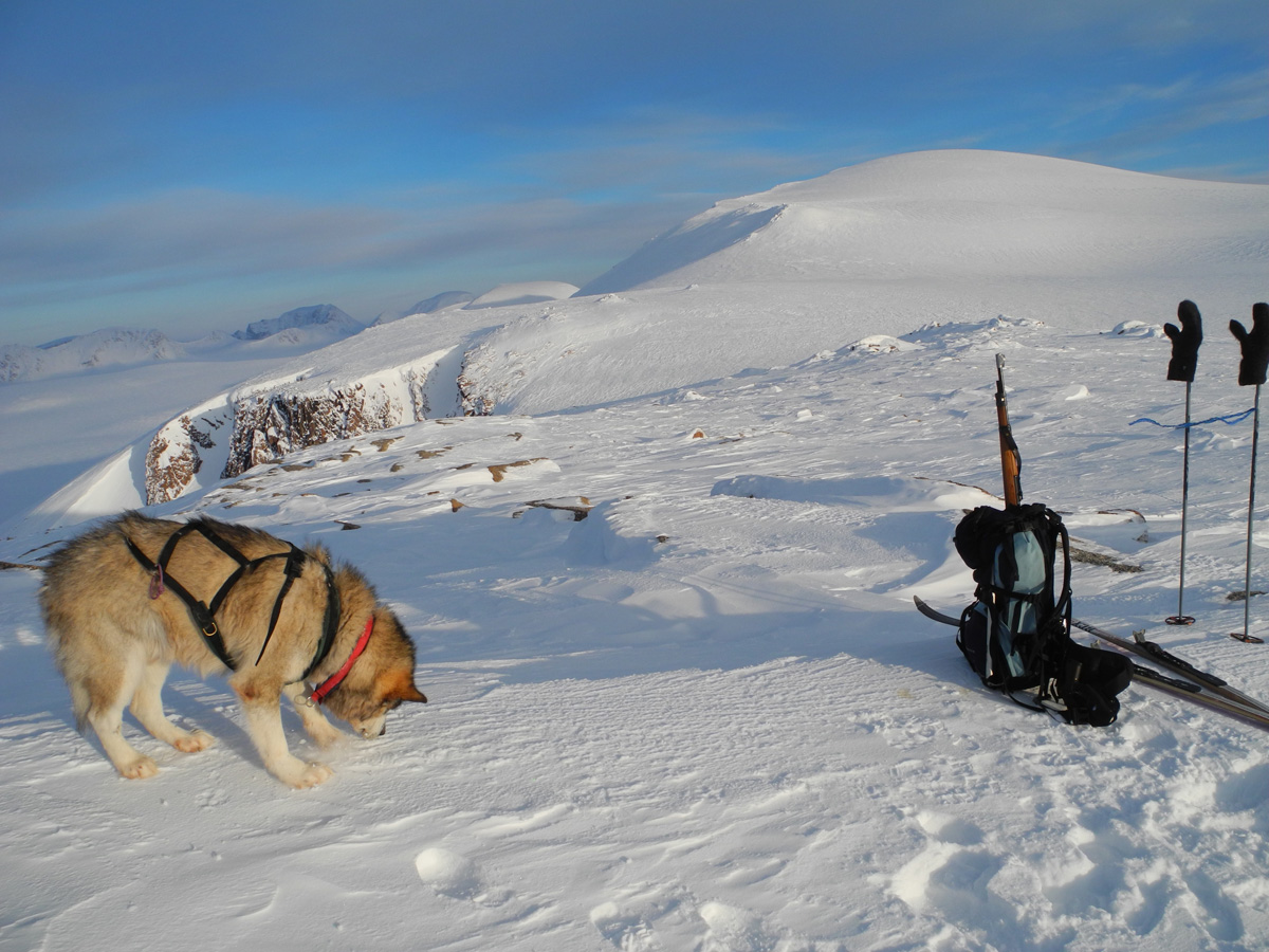 Monte Newton Svalbard