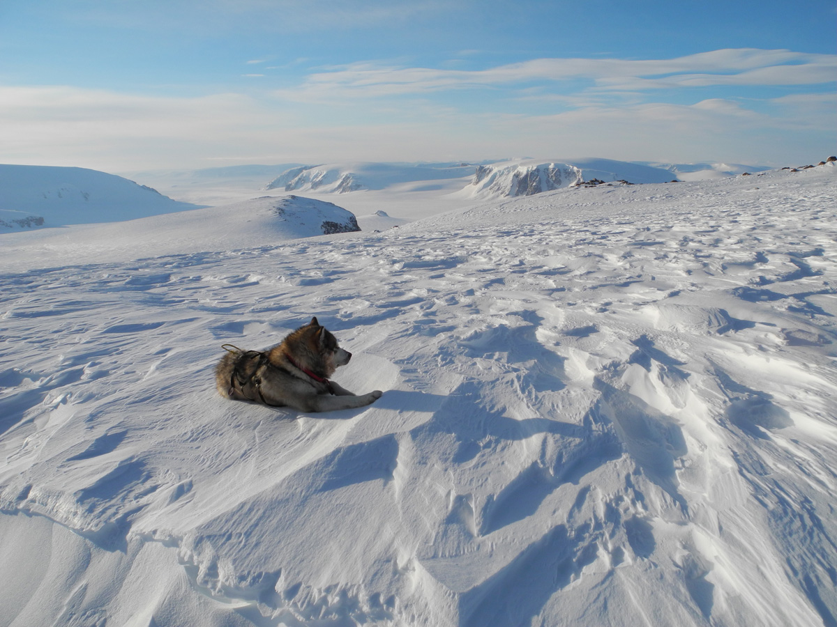 Monte Newton Svalbard