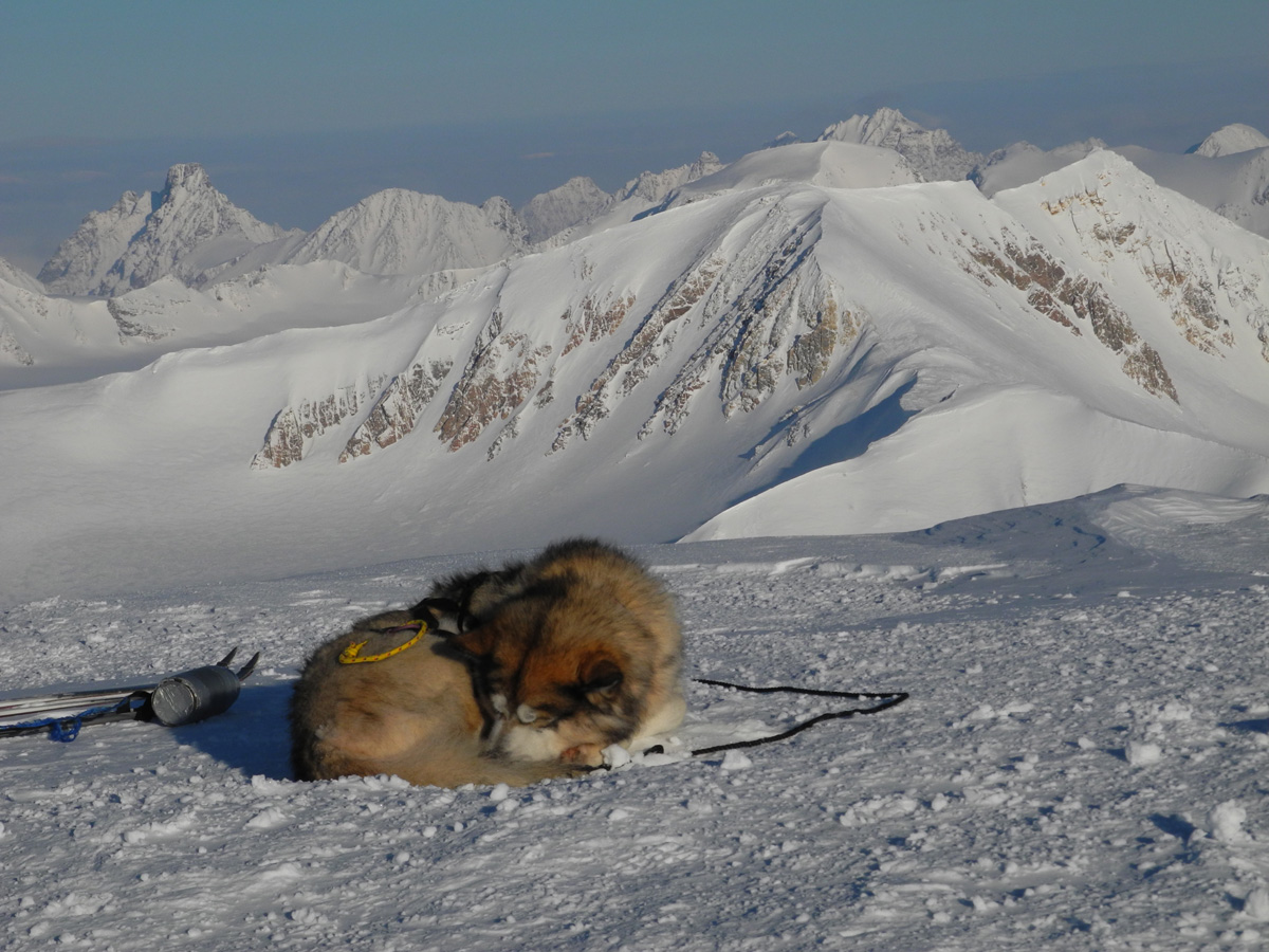 Monte Newton Svalbard