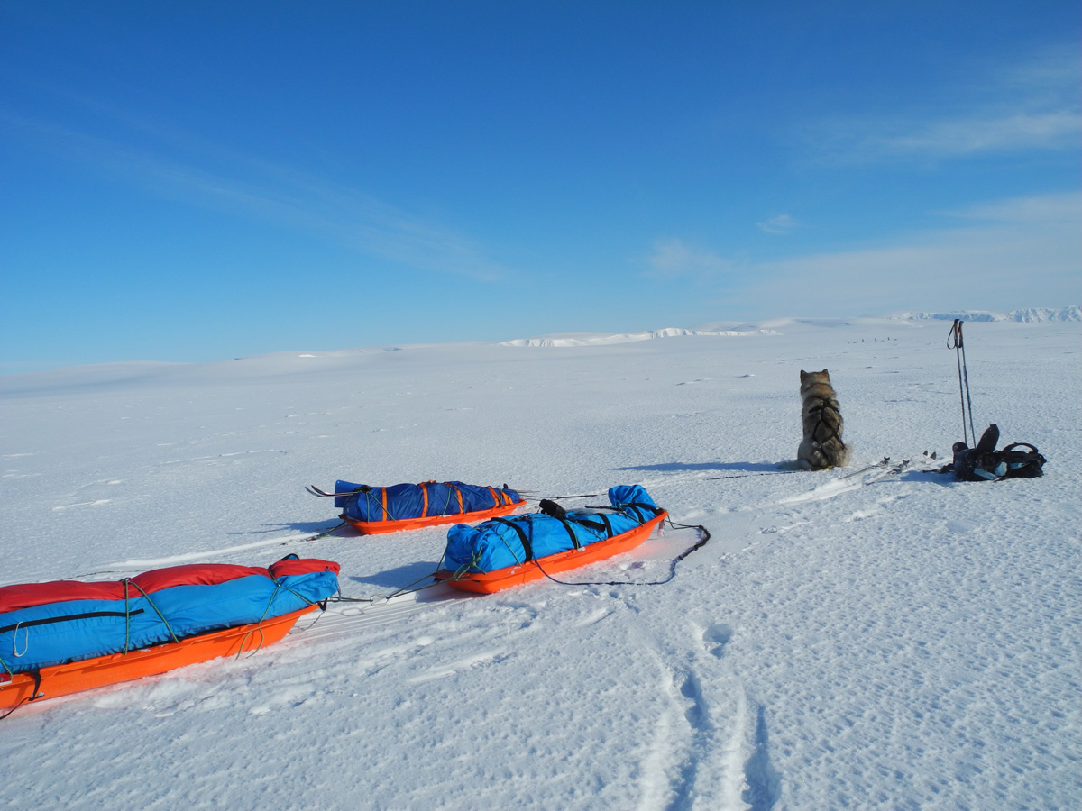 Monte Newton Svalbard