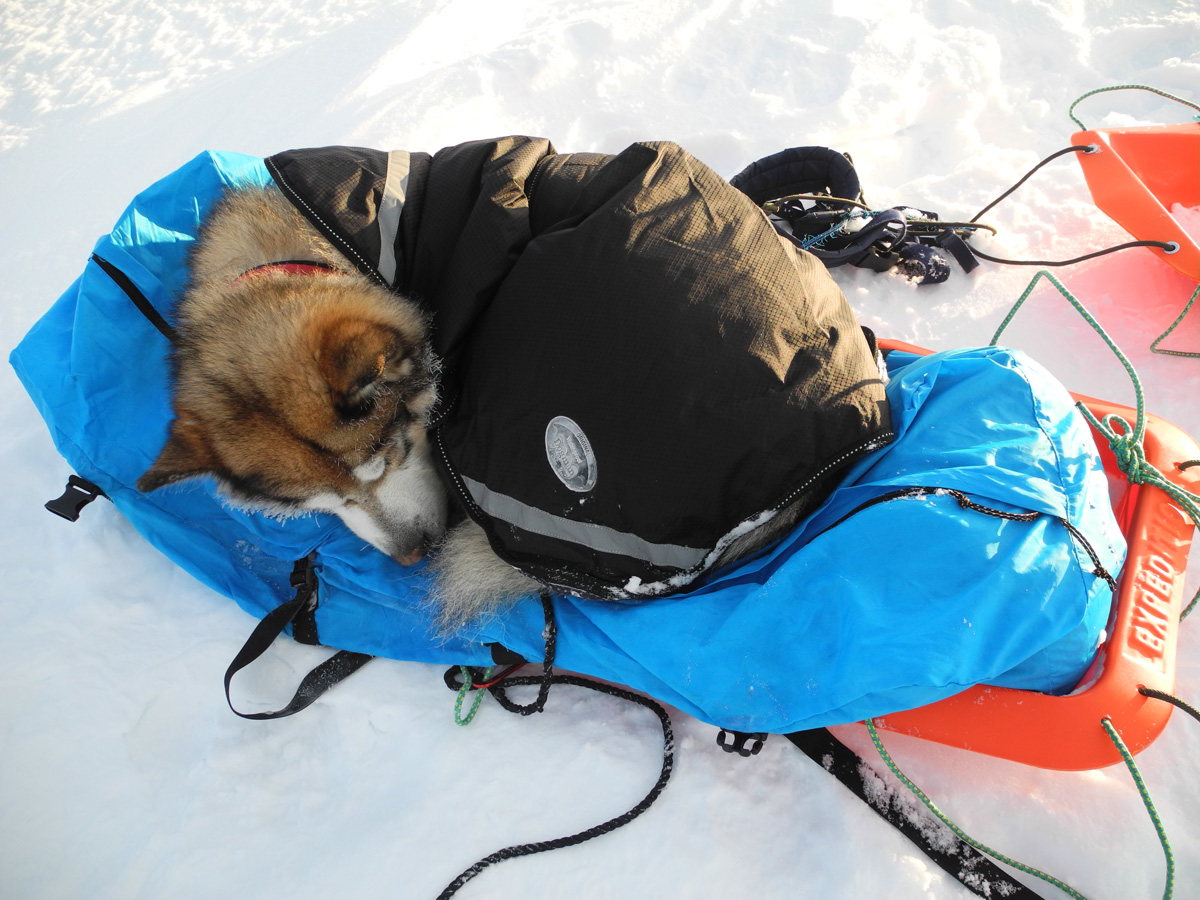 Monte Newton Svalbard