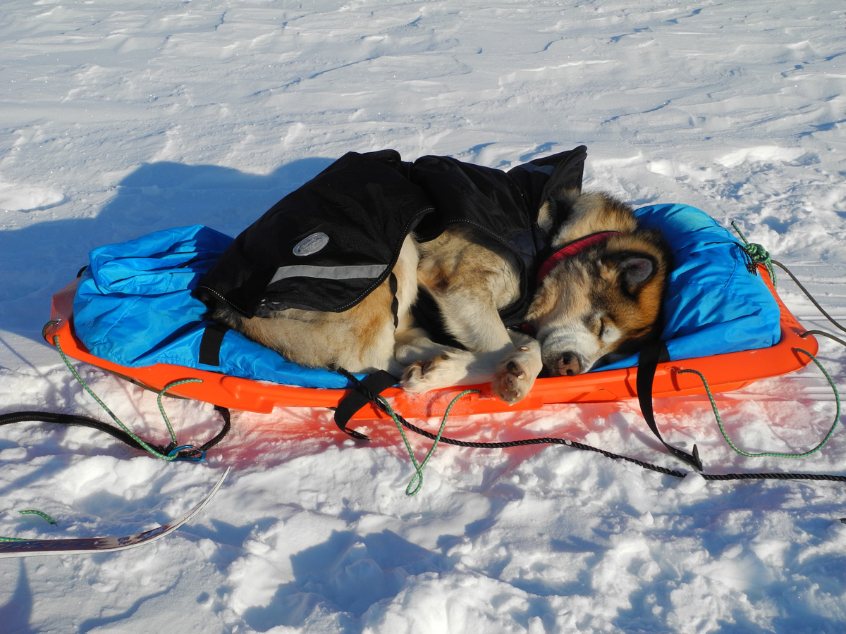 Monte Newton Svalbard