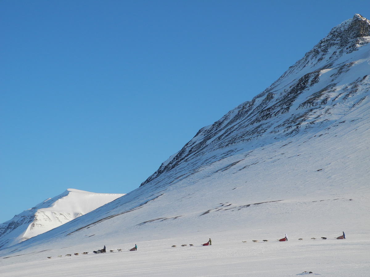 Monte Newton Svalbard