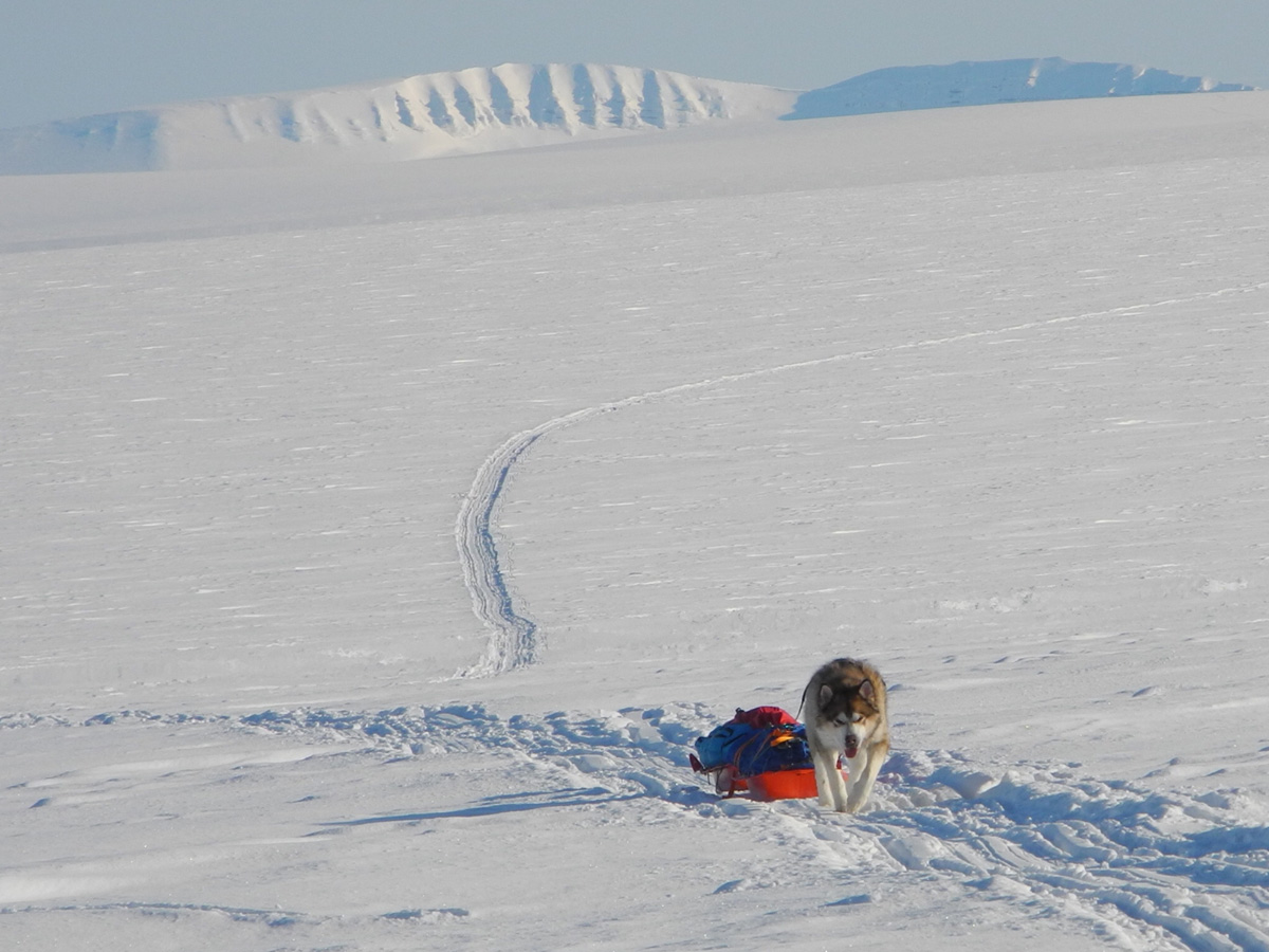 Monte Newton Svalbard