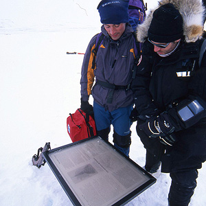 Resolute Bay