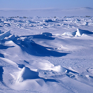 Resolute Bay