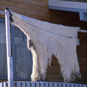 Resolute Bay