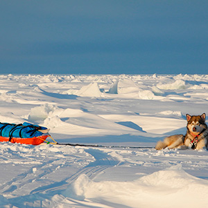 Travesía Spitzbergen Sur