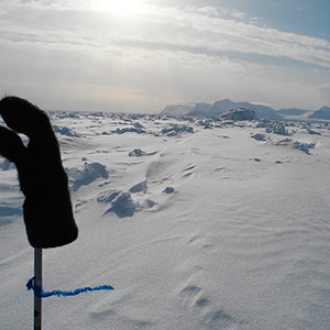 Travesía Spitzbergen Sur