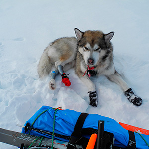 Travesía Spitzbergen Sur