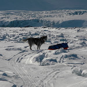 Travesía Spitzbergen Sur