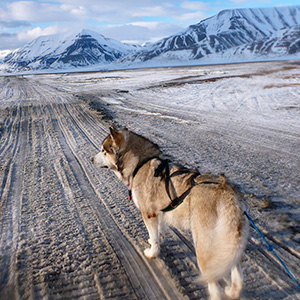 Travesía Spitzbergen Sur