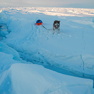 Travesía Spitzbergen Sur