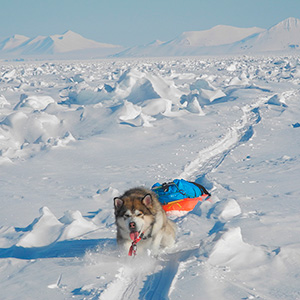 Travesía Spitzbergen Sur