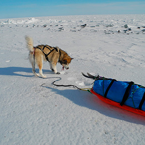 Travesía Spitzbergen Sur