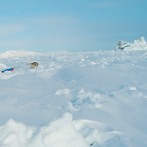 Travesía Spitzbergen Sur