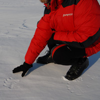 Svalbard Travesia Longitudinal Norte-Sur Svalbard