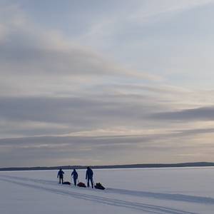 Inari Sur/Norte x2