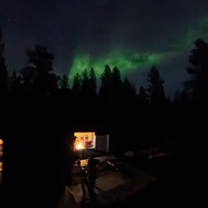 Pasvik 2026