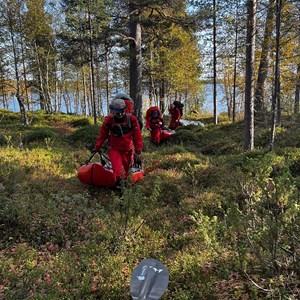 Pasvik 2026