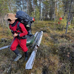 Pasvik 2026