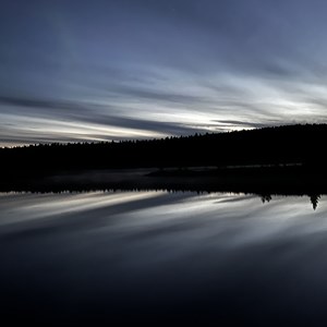 Pasvik 2026