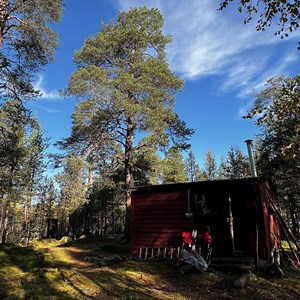 Pasvik 2026
