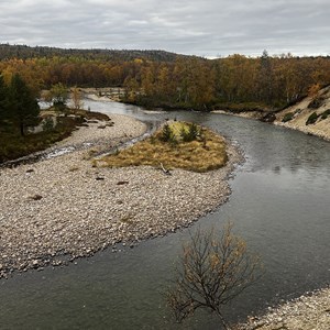 Pasvik 2026