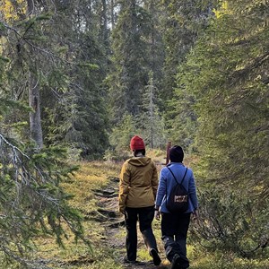Río Ivalojoki