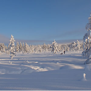 Urho Kekkonen 2026